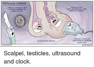 does testicular torsion affect one or both testes|why do my testicles hurt.